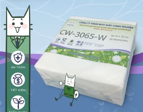 GIẤY LỌC 3065 WB30