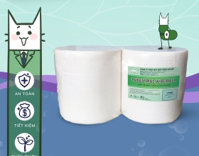 GIẤY VỆ SINH 2 LỚP CP380