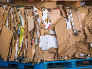 Giấy thu hồi có xu hướng giảm giá tại thị trường Đông Nam Á