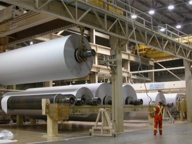 Nhu cầu tăng cao, cung ứng gặp khó khăn thúc đẩy tăng giá bột giấy thị trường toàn cầu