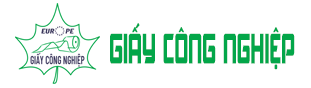 CÔNG TY TNHH MTV GIẤY CÔNG NGHIỆP